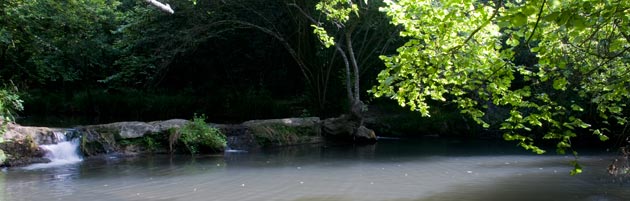 GESTION DES MILIEUX NATURELS